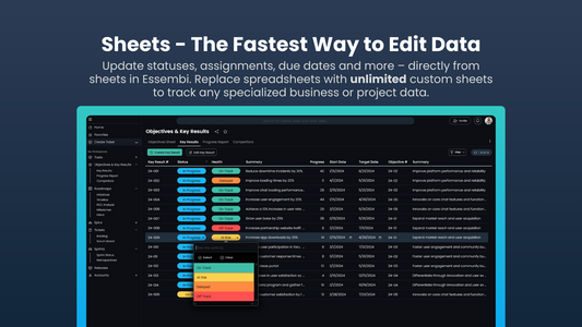 Feature Spotlight: Sheet Data Entry